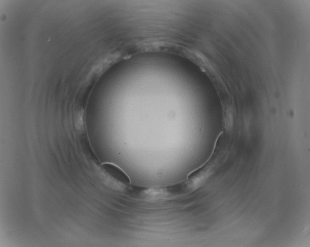 X0000076220477200610122054