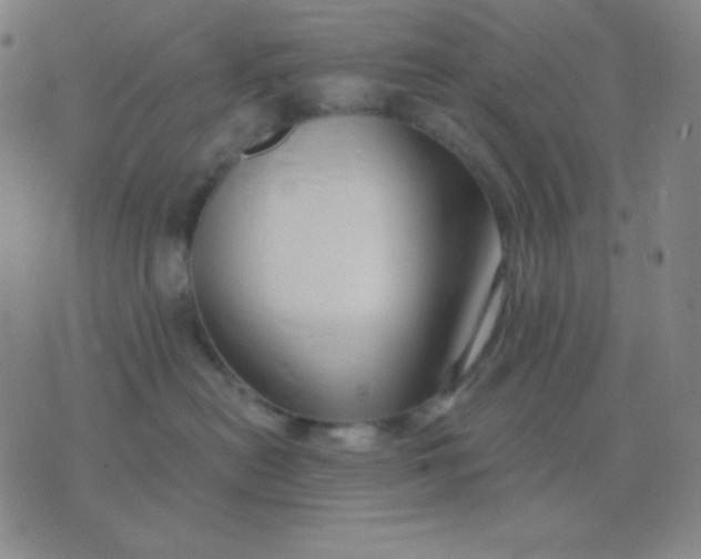 X0000076220478200610122054