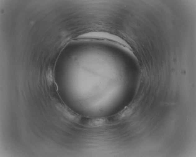 X0000076220479200610122054