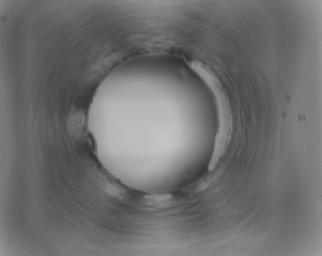 X0000076220480200610122054