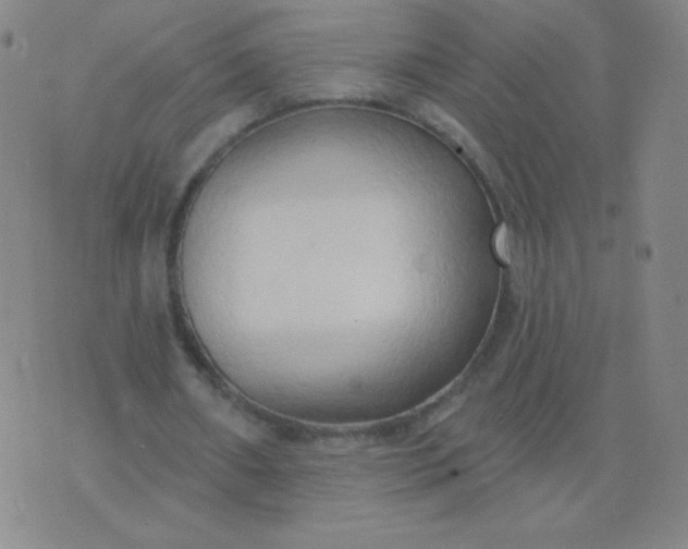 X0000076220482200610122054