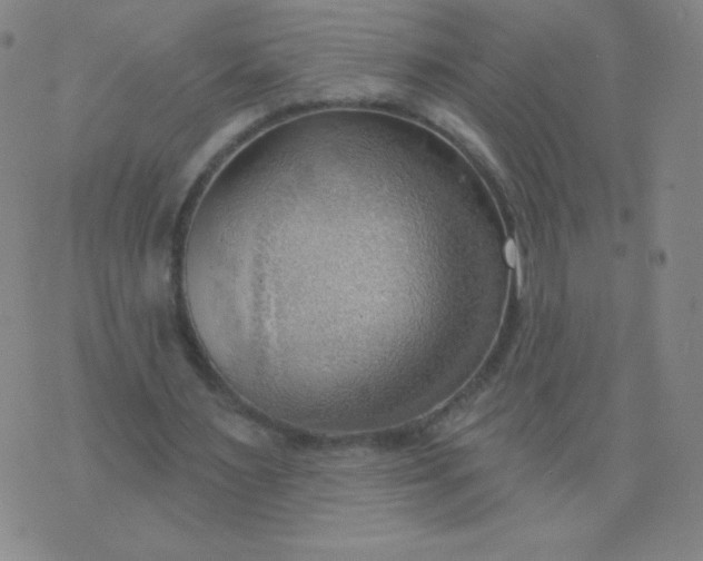 X0000076220483200610122054