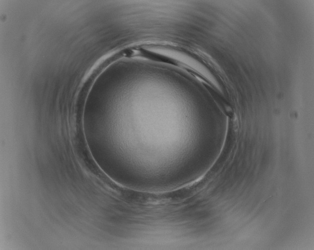 X0000076220484200610122054