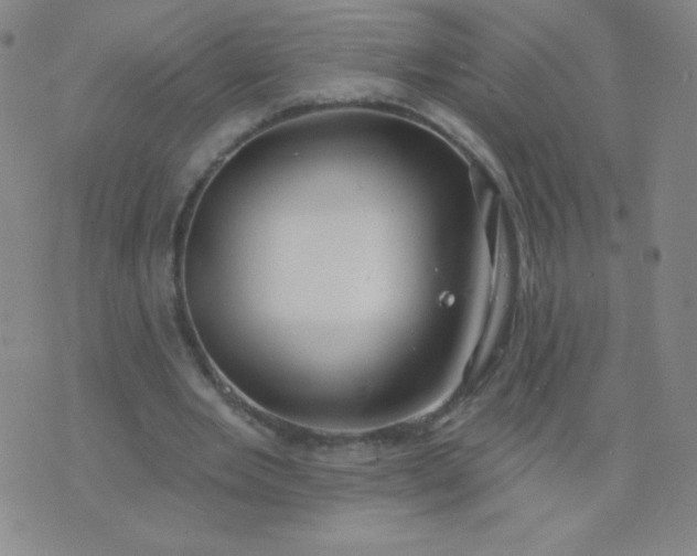 X0000076220485200610122054