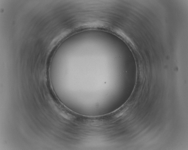 X0000076220486200610122054