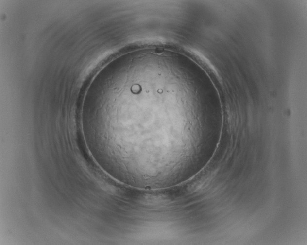 X0000076220487200610122054