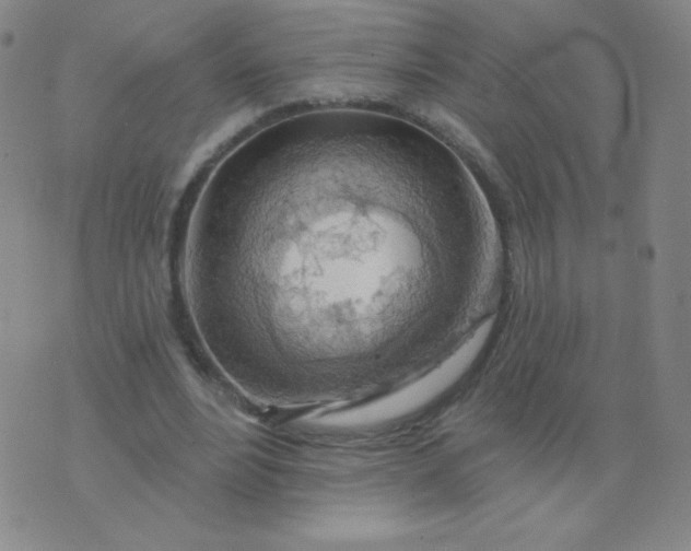 X0000076220488200610122054