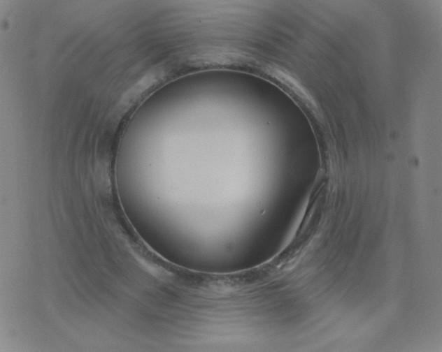 X0000076220489200610122053