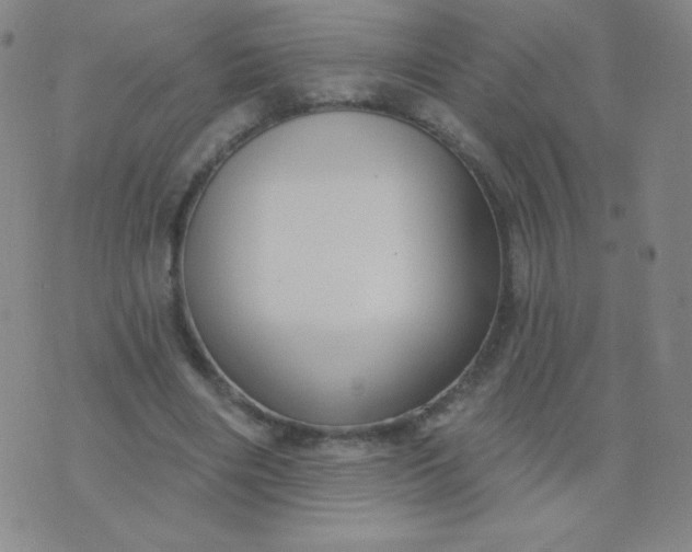 X0000076220490200610122053