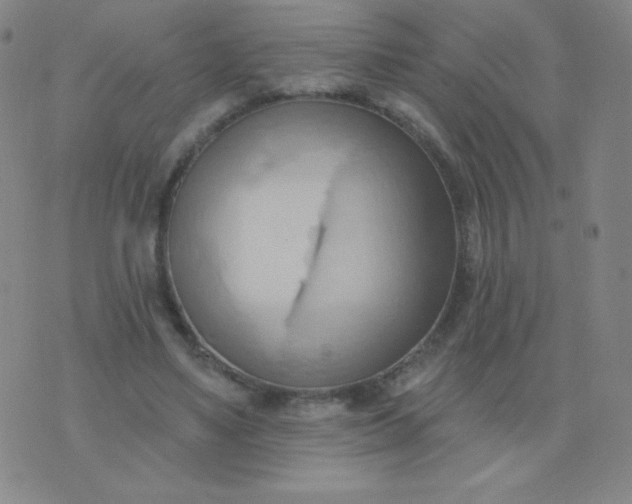 X0000076220491200610122053