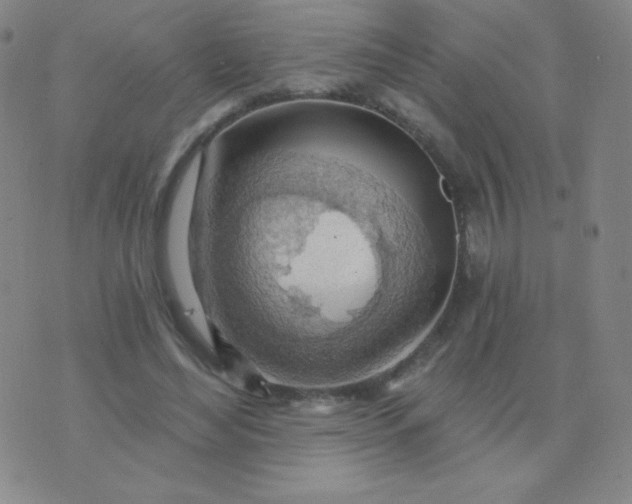 X0000076220492200610122053