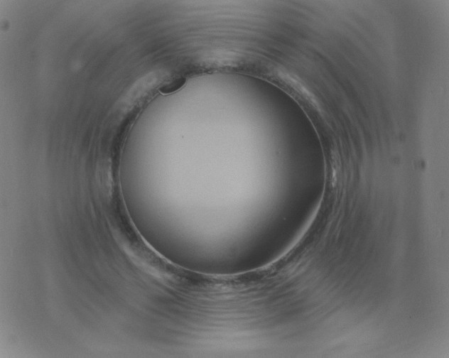 X0000076220494200610122053