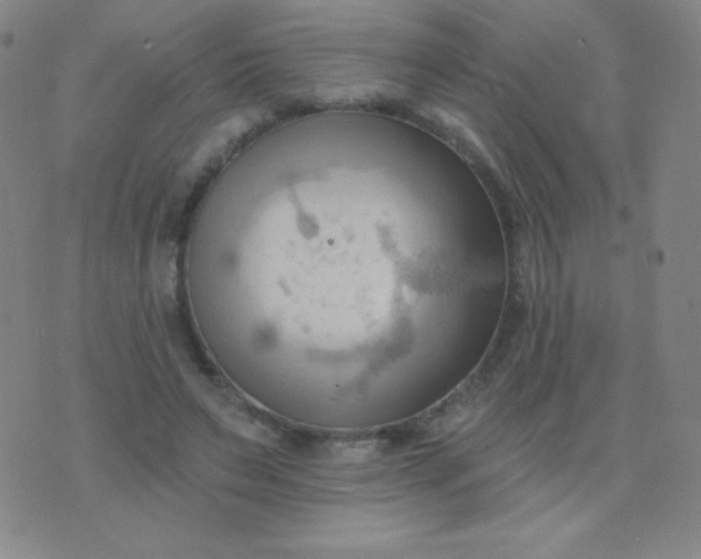 X0000076220495200610122053