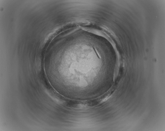 X0000076220496200610122053