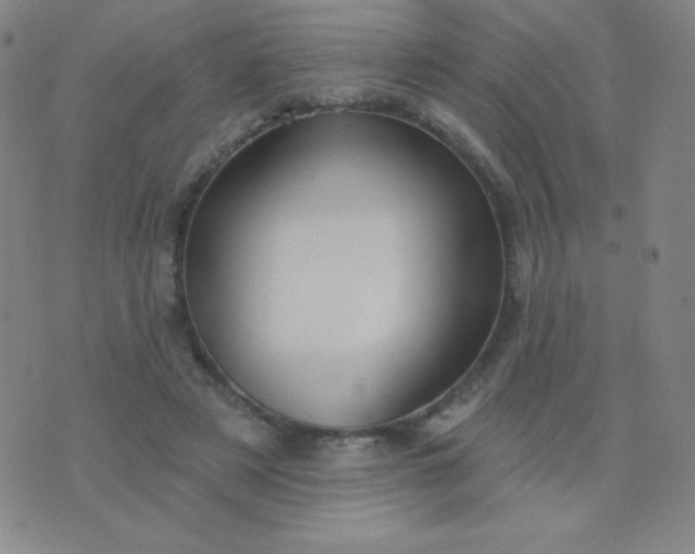 X0000076220497200610122053