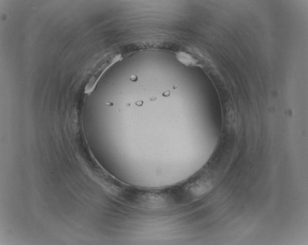 X0000076220498200610122053