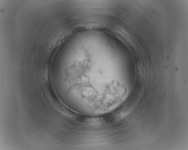 X0000076220499200610122053