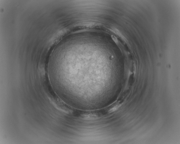 X0000076220500200610122053