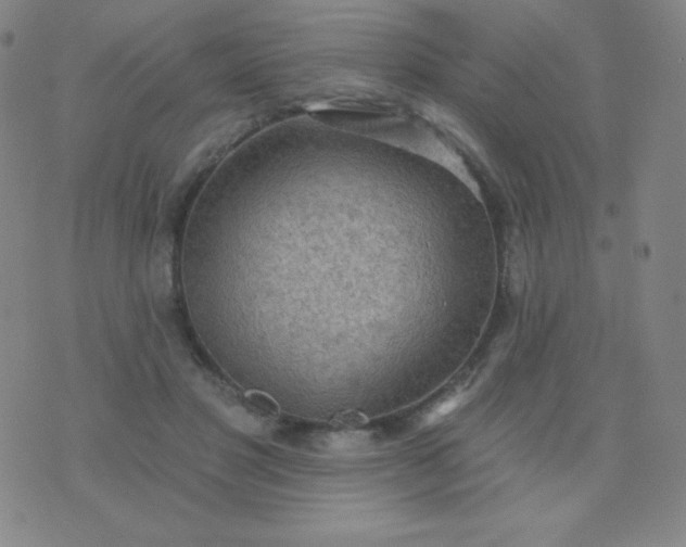 X0000076220501200610122053