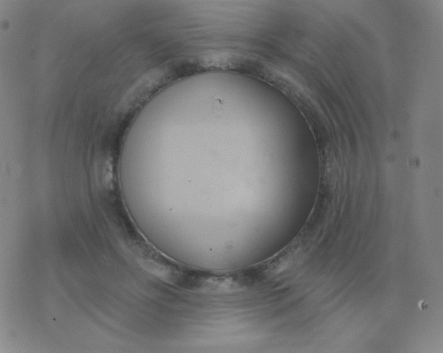 X0000076220502200610122053