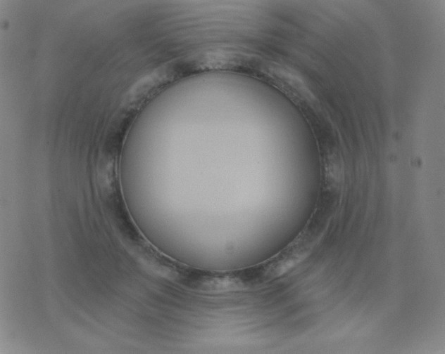 X0000076220503200610122053