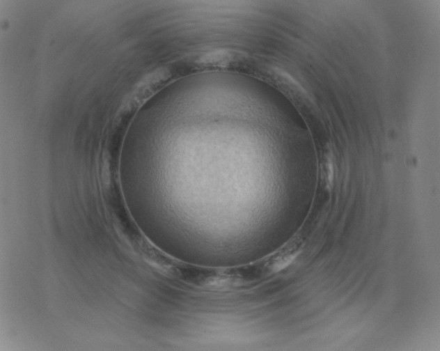 X0000076220504200610122053