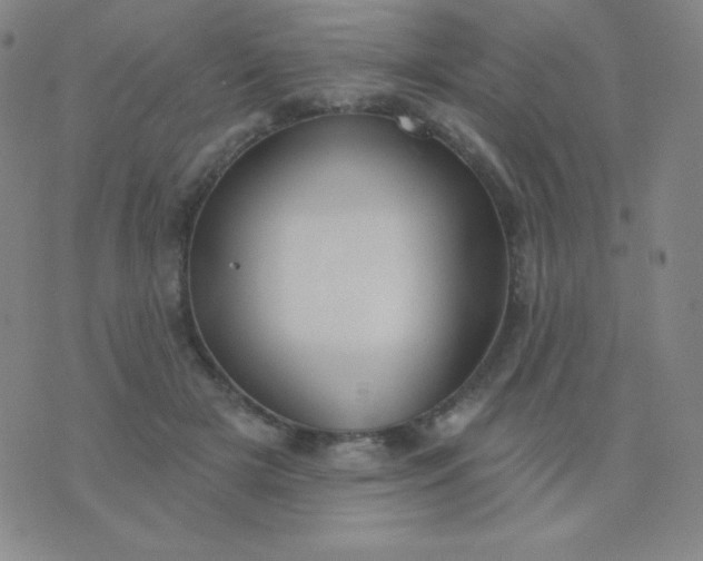 X0000076220505200610122053