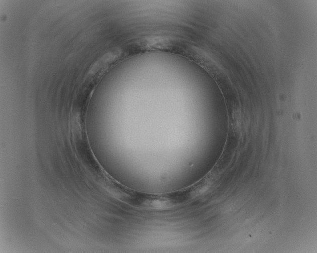 X0000076220506200610122053