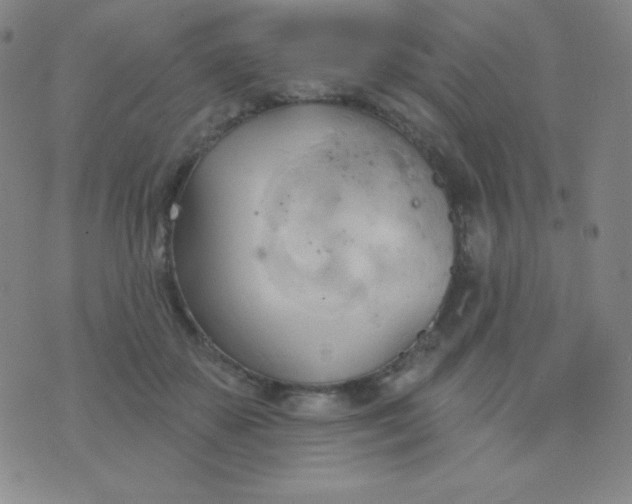 X0000076220507200610122053