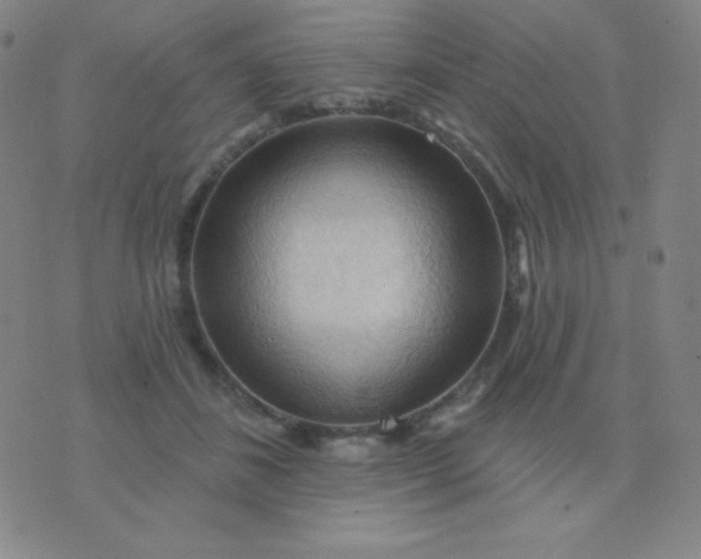 X0000076220508200610122053