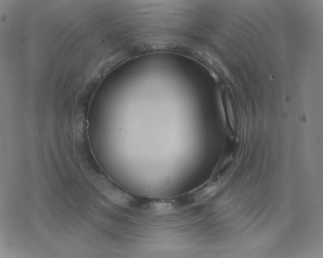 X0000076220509200610122053