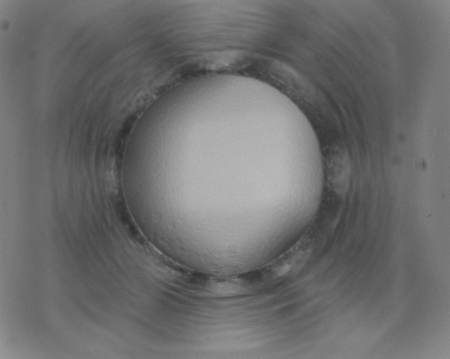 X0000076220510200610122053