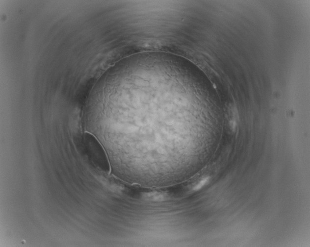 X0000076220511200610122053