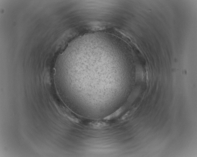 X0000076220512200610122053