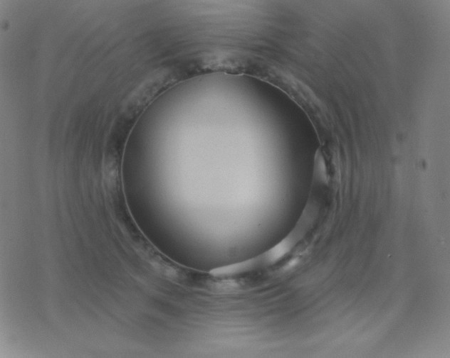 X0000076220513200610122053