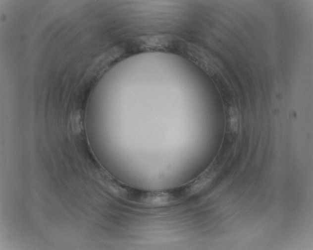 X0000076220514200610122053