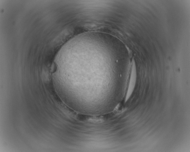 X0000076220515200610122053