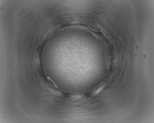 X0000076220516200610122053