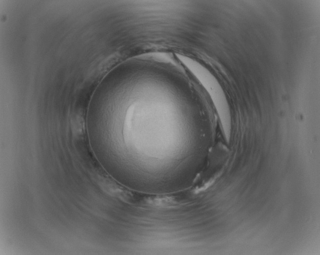 X0000076220517200610122053