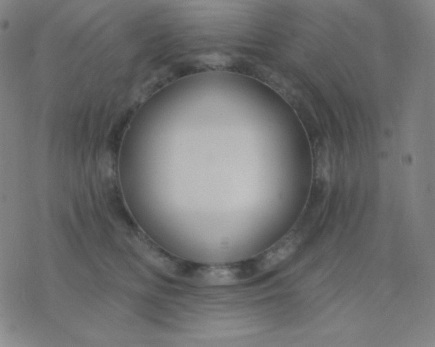 X0000076220518200610122053