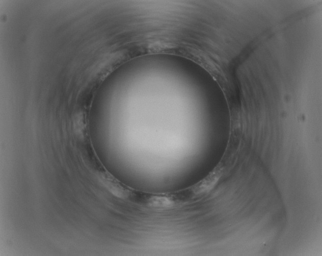 X0000076220519200610122053