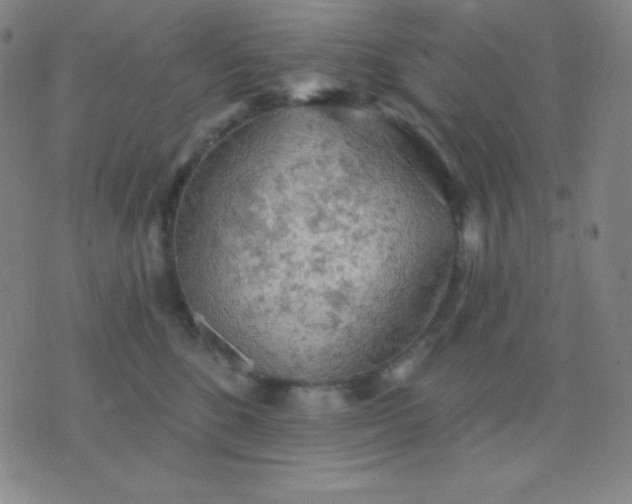 X0000076220520200610122053