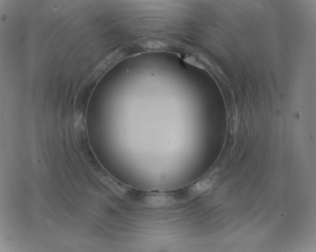 X0000076220521200610122053