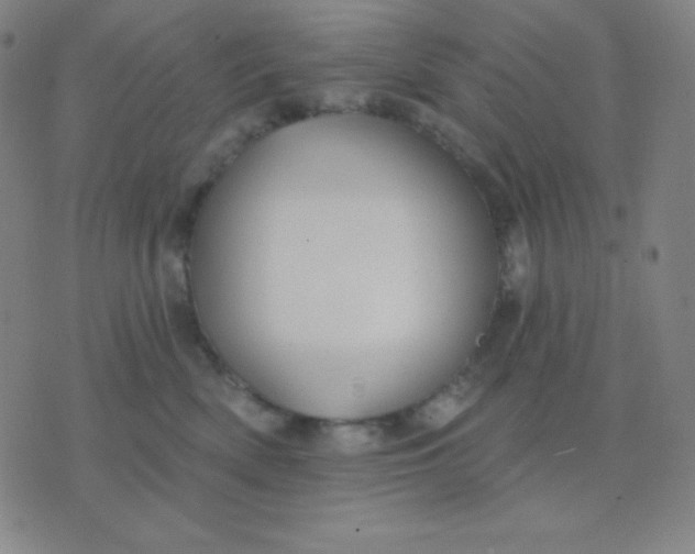 X0000076220522200610122053