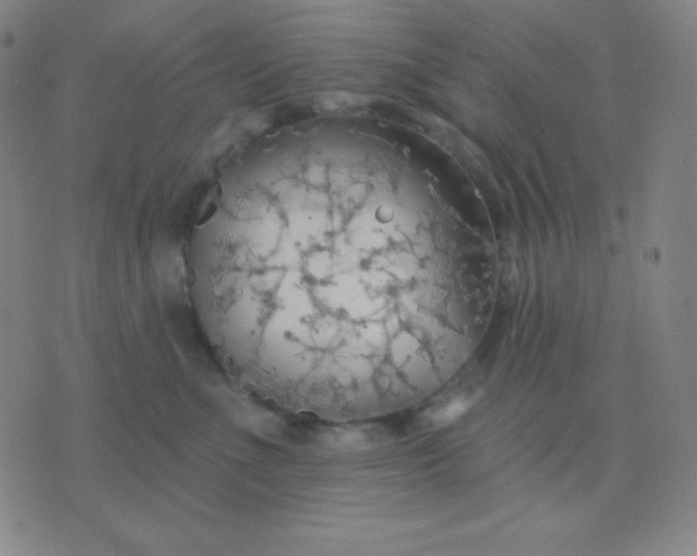 X0000076220523200610122053