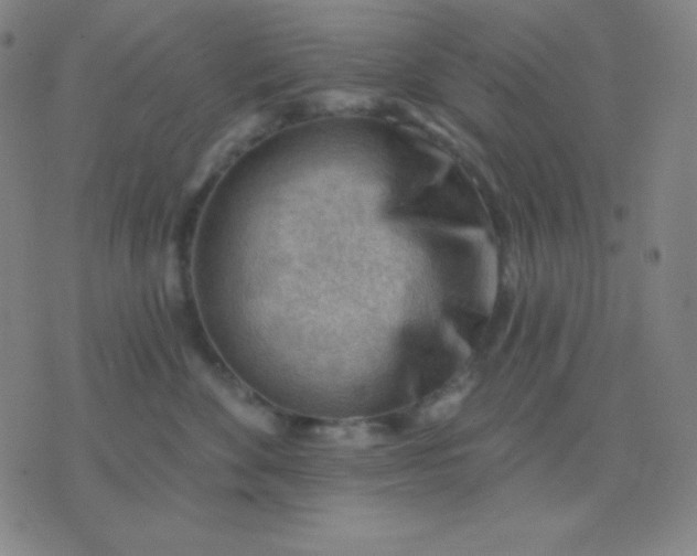 X0000076220524200610122053