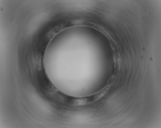 X0000076220525200610122053