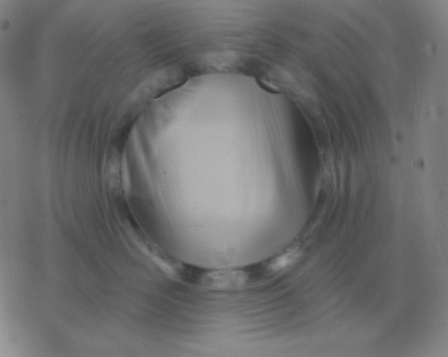 X0000076220526200610122053