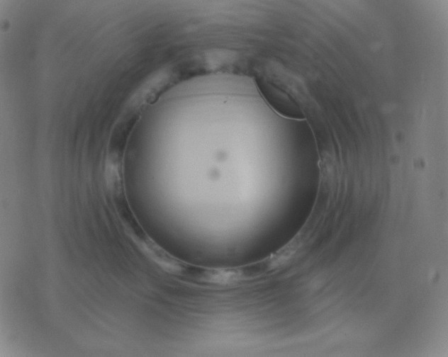 X0000076220527200610122053