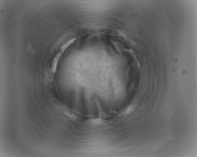 X0000076220528200610122053